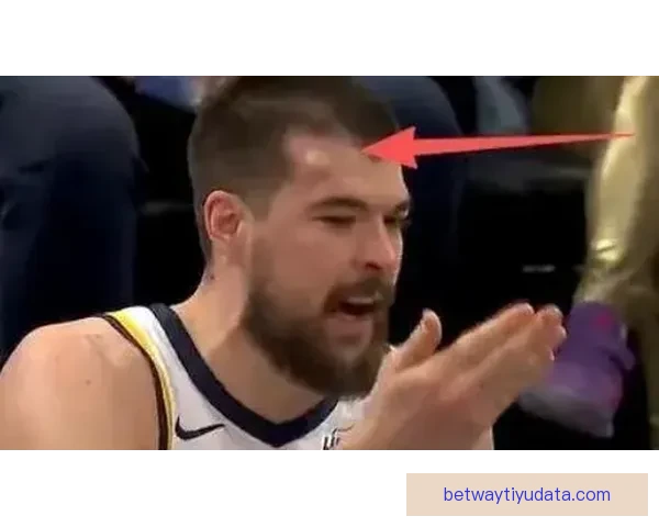 祖巴茨回应被打肿头不犯规称裁判判定克林根空接下次也要抡肘子 祖巴茨回应被打肿头不犯规称裁判判定克林根空接下次也要抡肘子